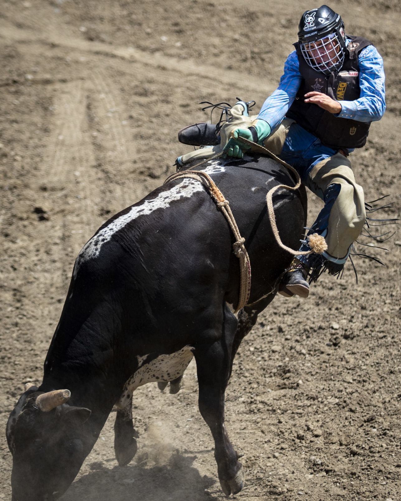 Rodeo Roundup